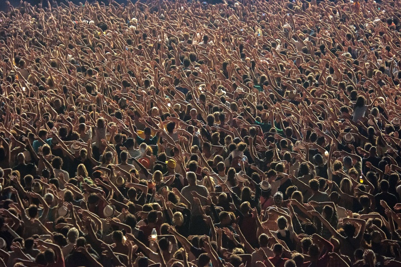 Paleo-Crowd